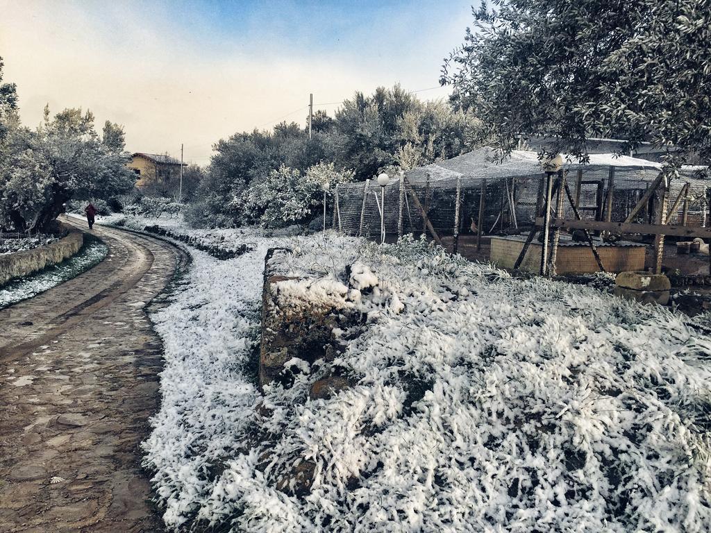 Coscio Di Badia Villa Naro Dış mekan fotoğraf